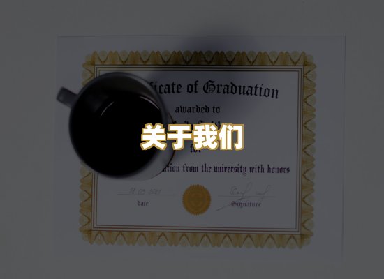 关于我们